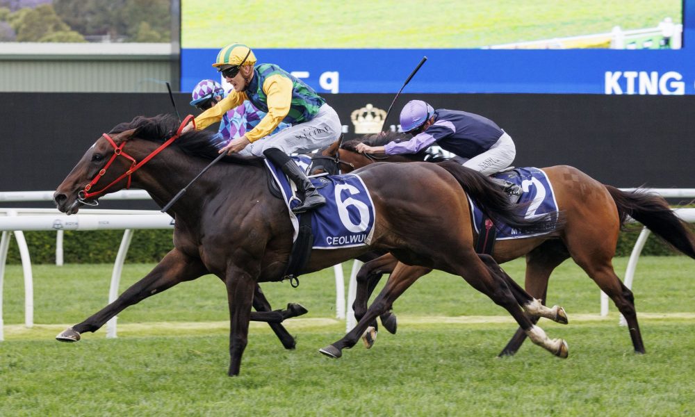 面对朱辰杰 面对朱辰杰