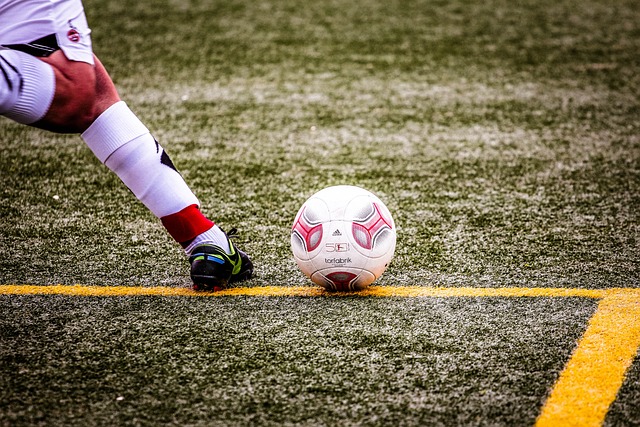 动精神的体 动精神的体