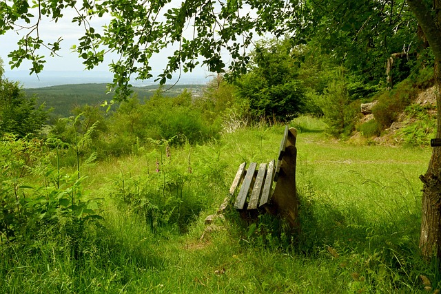 调整战术方 调整战术方