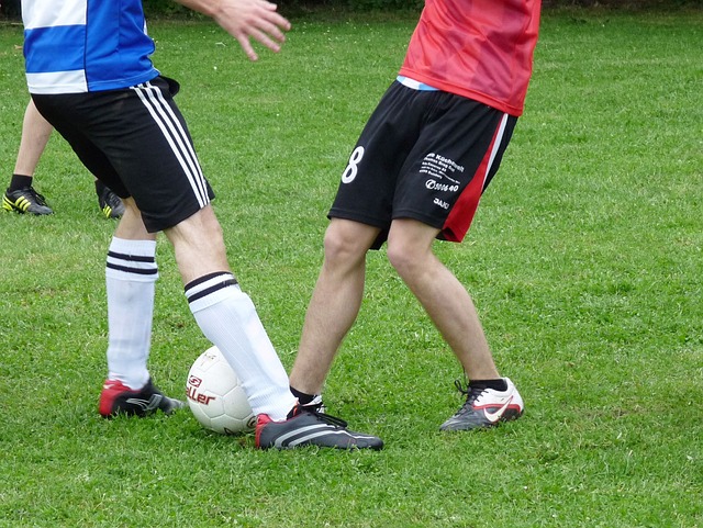 染著觀眾 染著觀眾