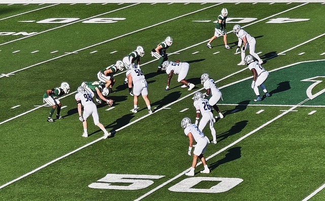 的严重限制 的严重限制