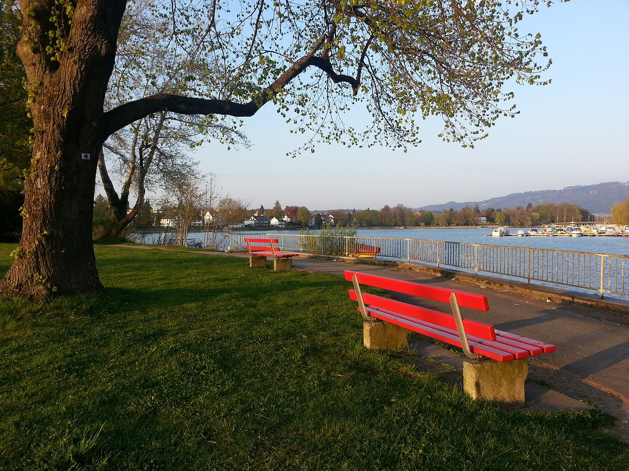 更吸引了无 更吸引了无